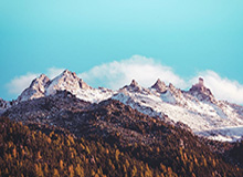 开云体育网址：用专业与热情点亮你的赛事之旅