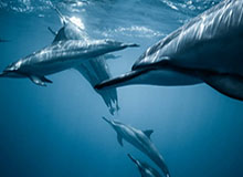 开云体育APP：开启极致体育体验的新纪元