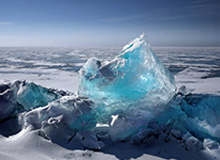 百威旗下米狮龙啤酒期待在冬奥会前再现奇迹|奥运|美国队|冰球队|冰球|美国冰球队_新浪体育_新浪新闻